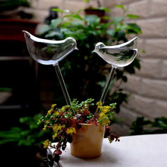 Glass Bird Watering Device