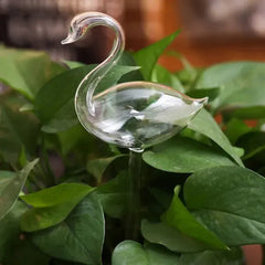 Glass Bird Watering Device